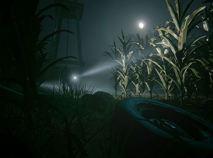 Cornfield at Night with Someone Walking Through with Flashlight Terror in the Corn