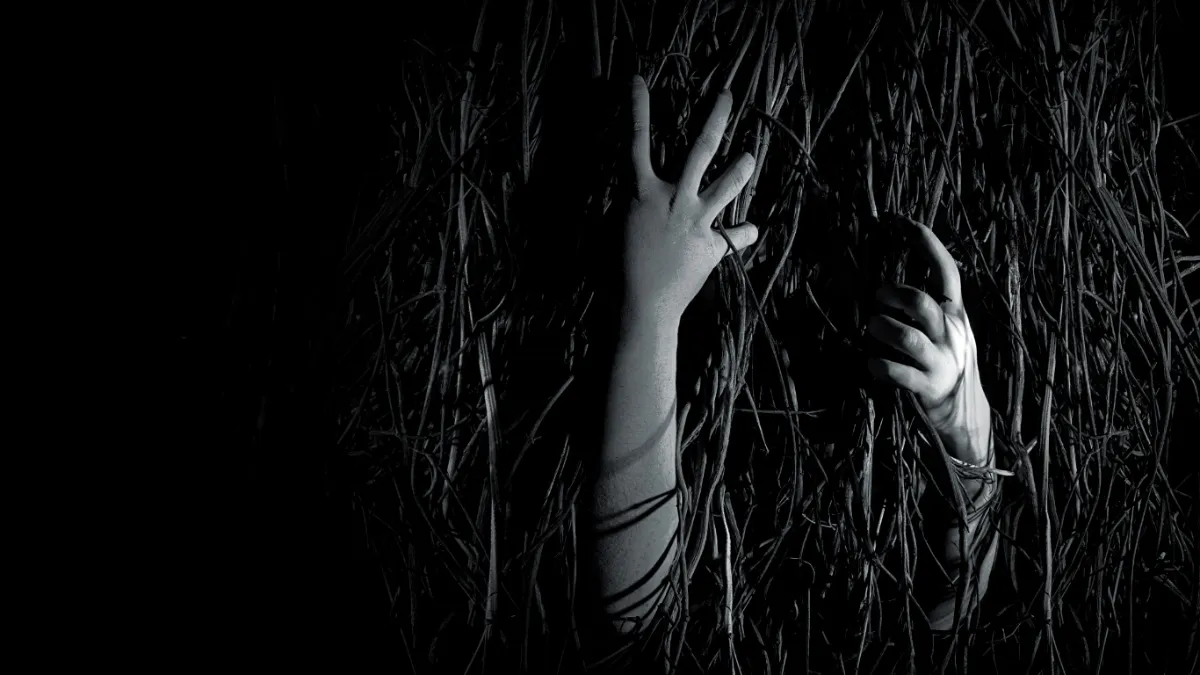 Image of Hands Reaching Through Branches at Terror in the Corn at Night
