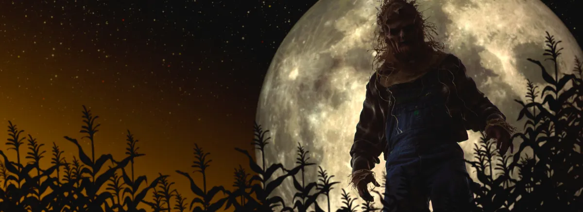 Creepy Scarecrow in the Corn Field at Night on a Full Moon at Tucson Terror in the Corn